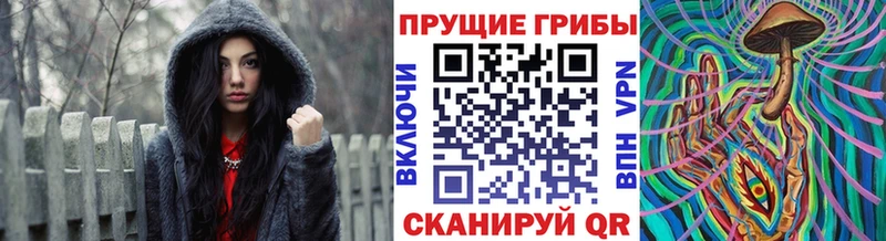 где можно купить наркотик  Власиха  Псилоцибиновые грибы Cubensis 